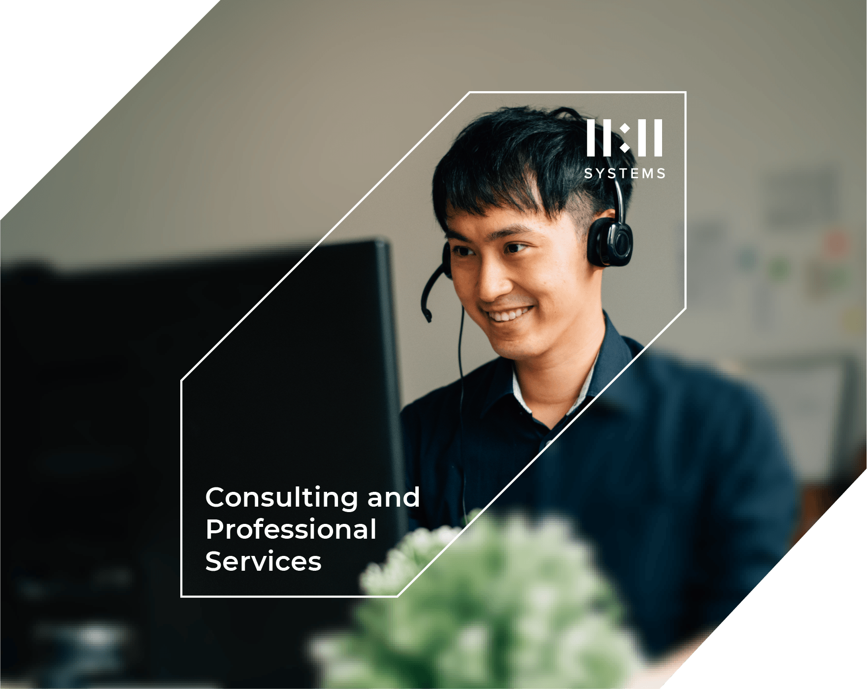 11:11 Systems Consulting and Professional Services